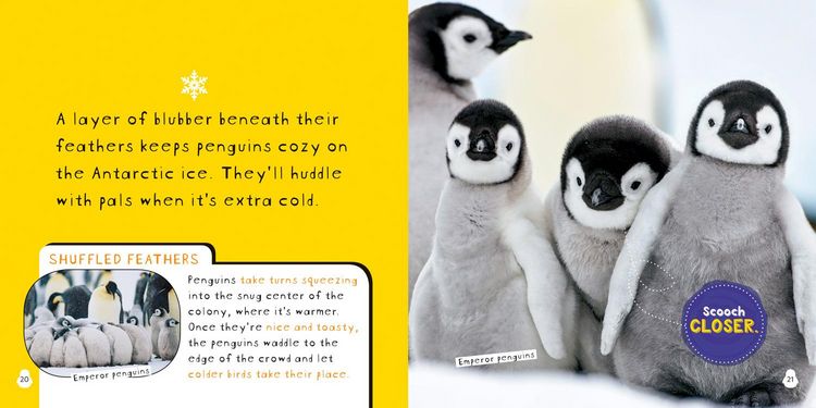 Produktbild: So Cute: Penguins