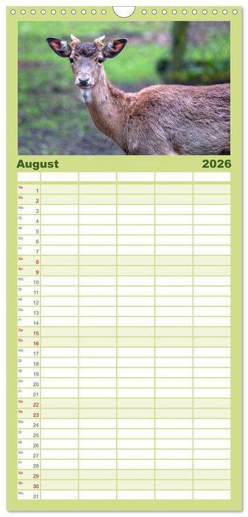 Produktbild: Familienplaner 2026 - Heimische Tiere - Rehe mit 5 Spalten (Wandkalender, 21 x 45 cm) CALVENDO