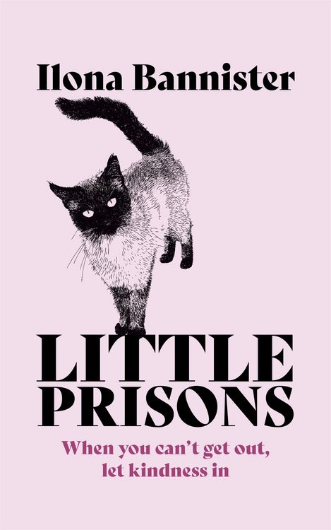 Produktbild: Little Prisons