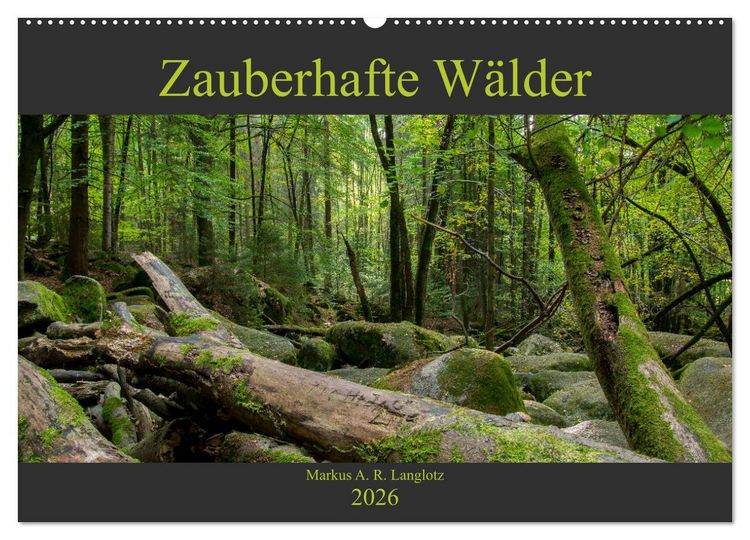 Produktbild: Zauberwelt Wald (Wandkalender 2026 DIN A2 quer), CALVENDO Monatskalender