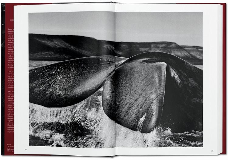 Produktbild: Sebasti&atilde;o Salgado. GENESIS