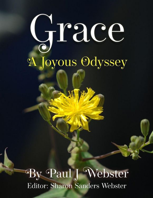 Produktbild: Grace - A Joyous Odyssey