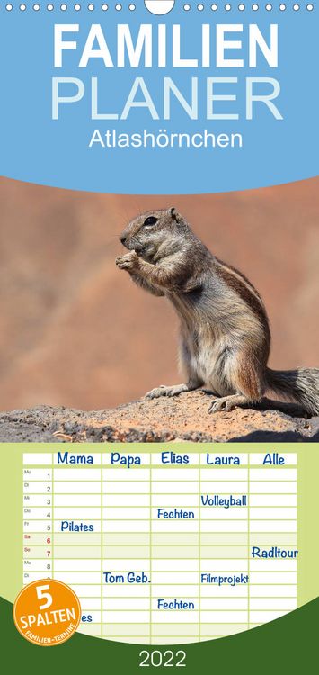 Produktbild: Atlash&ouml;rnchen - Familienplaner hoch (Wandkalender 2022 , 21 cm x 45 cm, hoch)