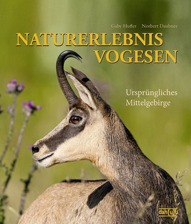 Produktbild: Naturerlebnis Vogesen
