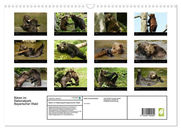 Produktbild: B&auml;ren im Nationalpark Bayerischer Wald (Wandkalender 2027 DIN A3 quer), CALVENDO Monatskalender