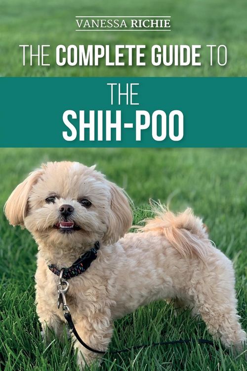 Produktbild: The Complete Guide to the Shih-Poo
