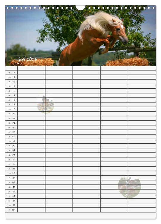 Produktbild: Haflinger Pferde - Stall- und Familienplaner 2026 (Wandkalender 2026 DIN A3 hoch), CALVENDO Monatskalender