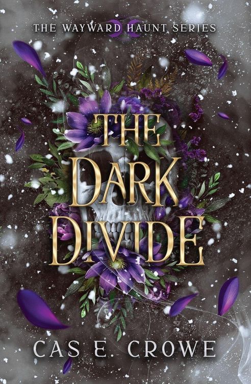 Produktbild: The Dark Divide