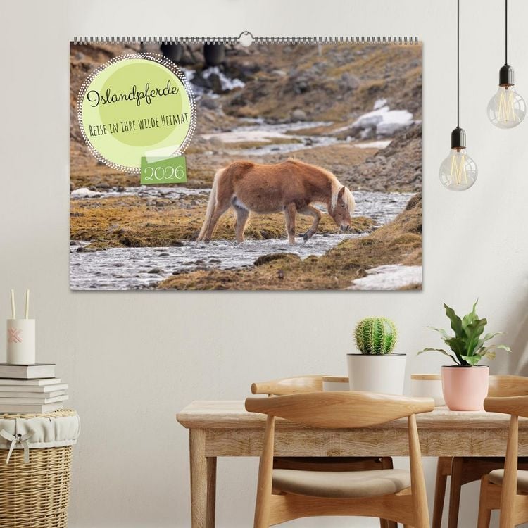 Produktbild: Islandpferde - Reise in ihre wilde Heimat (Wandkalender 2026 DIN A2 quer), CALVENDO Monatskalender