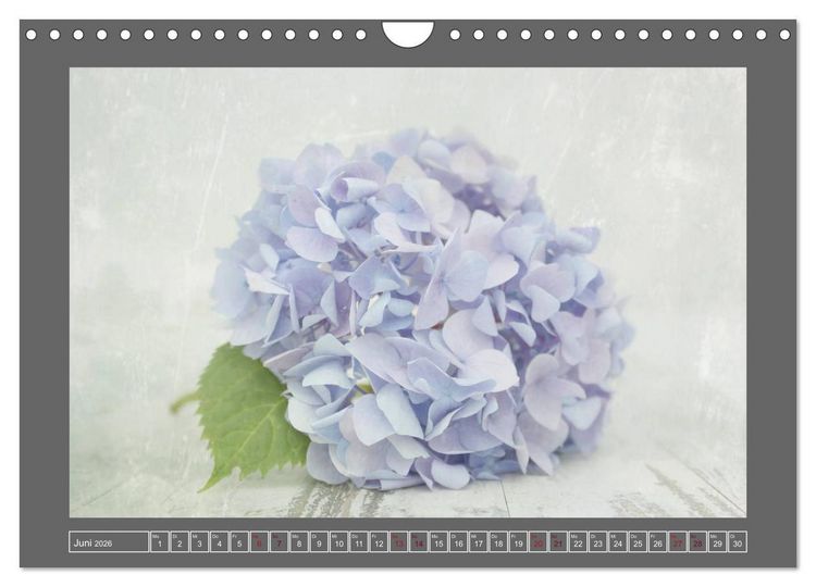 Produktbild: Blumen f&uuml;r dich (Wandkalender 2026 DIN A4 quer), CALVENDO Monatskalender
