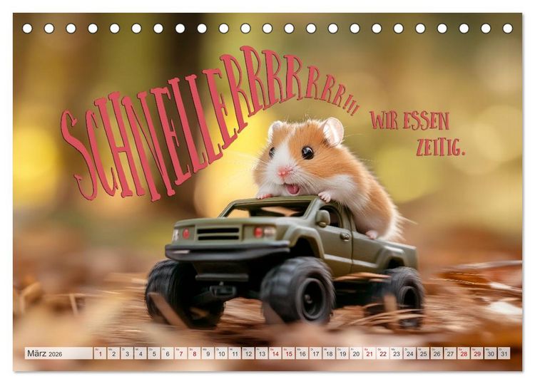 Produktbild: Hamsterhumor - Kleine Zuckerschnute, aber oho (Tischkalender 2026 DIN A5 quer), CALVENDO Monatskalender