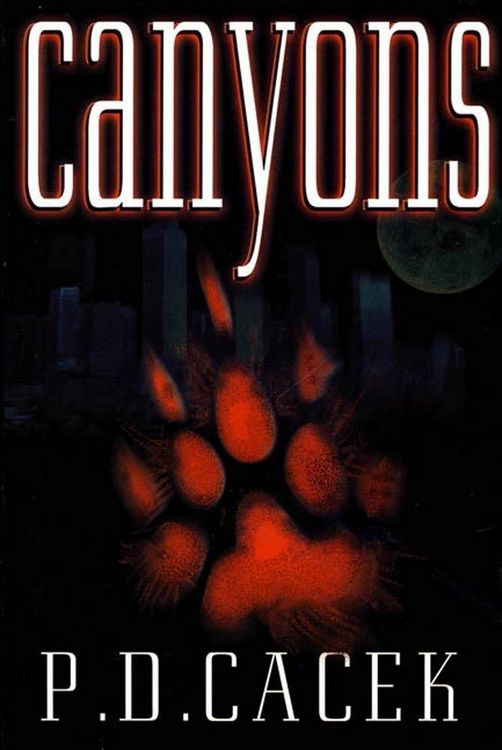 Produktbild: Canyons