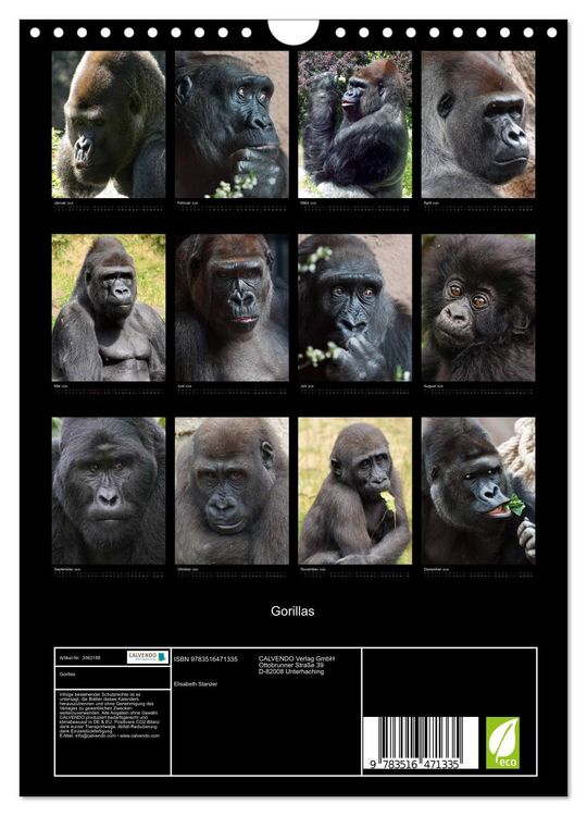 Produktbild: Gorillas (Wandkalender 2026 DIN A4 hoch), CALVENDO Monatskalender