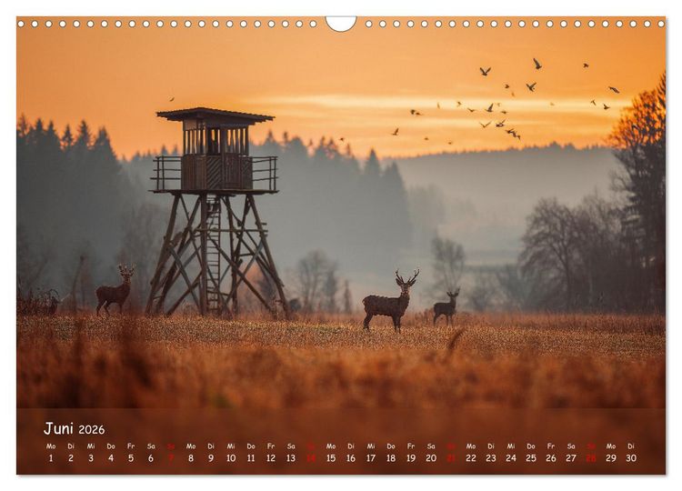 Produktbild: Jagd und Natur - Kalender f&uuml;r J&auml;ger mit Wildtieren Deutschlands im Jahreslauf (Wandkalender 2026 DIN A3 quer), CALVENDO Monatskalender