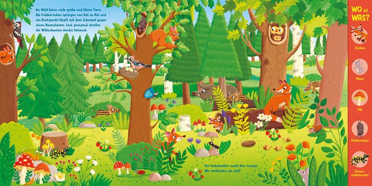 Produktbild: WO ist WAS? Was wimmelt in Wald und Wiese?