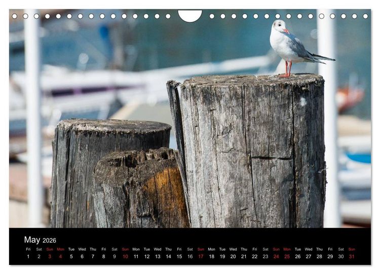 Produktbild: Lake Garda Italy (Wall Calendar 2026 DIN A4 landscape), CALVENDO 12 Month Wall Calendar