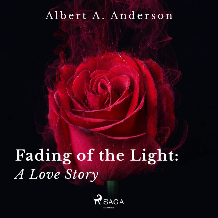 Produktbild: Fading of the Light: A Love Story