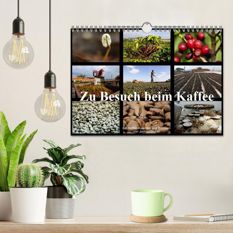 Produktbild: Zu Besuch beim Kaffee (Wandkalender 2026 DIN A4 quer), CALVENDO Monatskalender