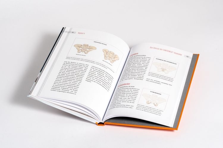 Produktbild: Beckenbodentraining mit Tigerfeeling