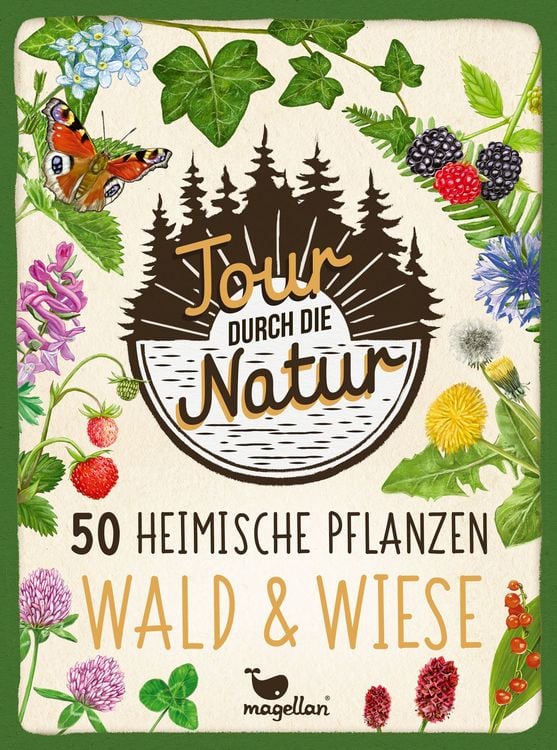 Produktbild: Tour durch die Natur - 50 heimische Pflanzen - Wald & Wiese