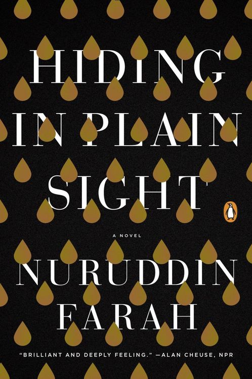 Produktbild: Hiding in Plain Sight