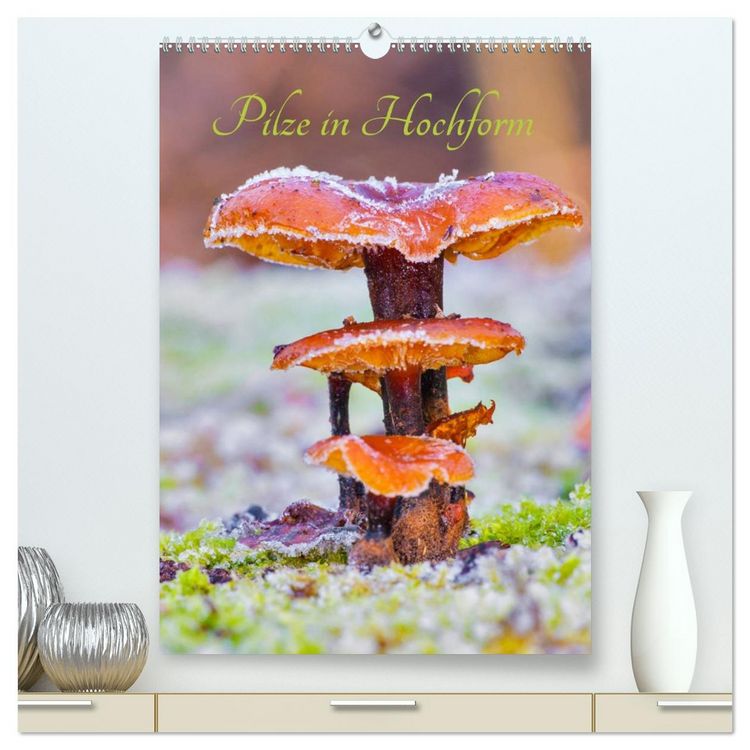 Produktbild: Pilze in Hochform (hochwertiger Premium Wandkalender 2026 DIN A2 hoch), Kunstdruck in Hochglanz