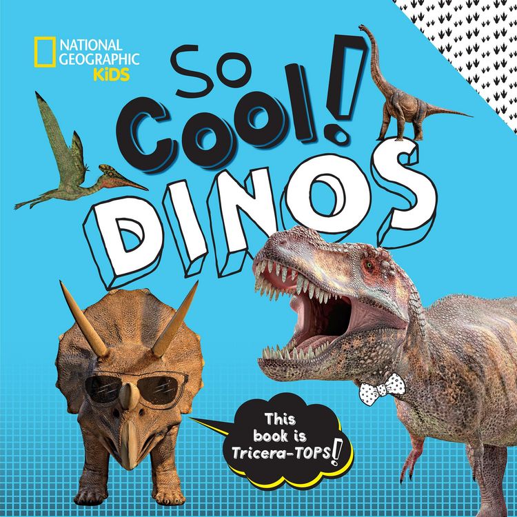 Produktbild: So Cool! Dinos