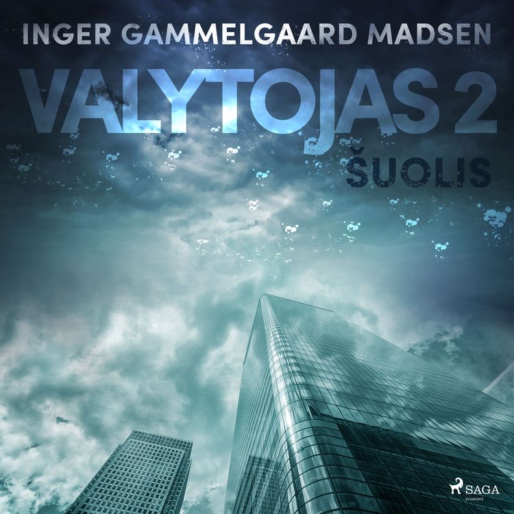 Produktbild: Valytojas 2: &Scaron;uolis