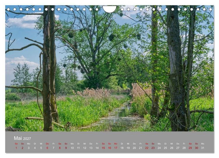 Produktbild: Naturerlebnis im Biosph&auml;renreservat Dr&ouml;mling (Wandkalender 2027 DIN A4 quer), CALVENDO Monatskalender