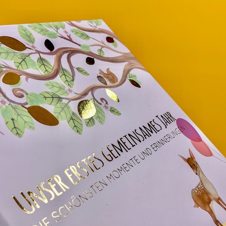 Produktbild: Babyalbum - UNSER ERSTES GEMEINSAMES JAHR (ros&eacute;)