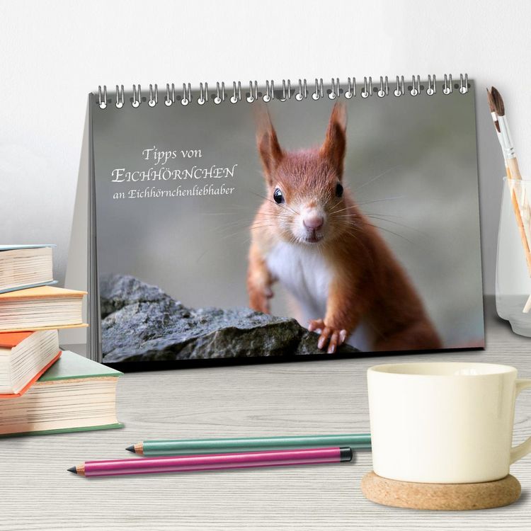 Produktbild: Tipps von Eichh&ouml;rnchen an Eichh&ouml;rnchenliebhaber (Tischkalender 2026 DIN A5 quer), CALVENDO Monatskalender