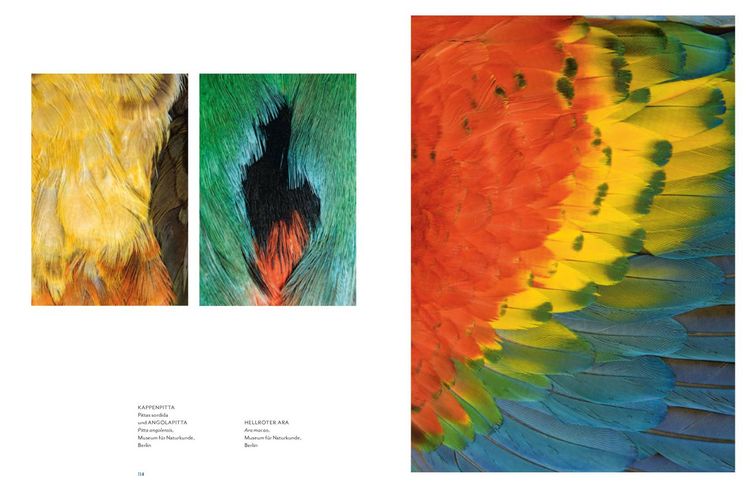 Produktbild: Vogelwelten