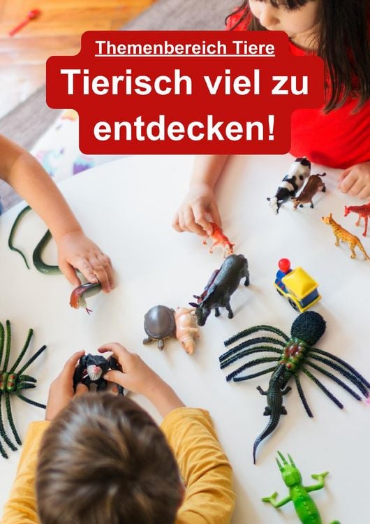 Produktbild: Kita aktiv Projektmappe Haustiere
