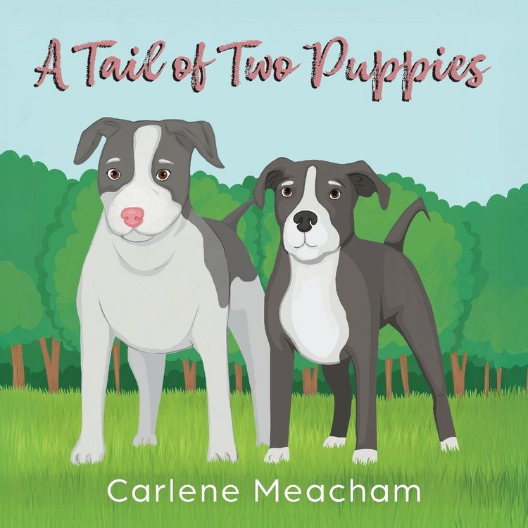 Produktbild: A Tail of Two Puppies