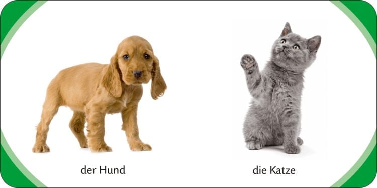 Produktbild: Duden 12+: Kennst du das? Meine bunte Kinderwelt (W&uuml;rfel)