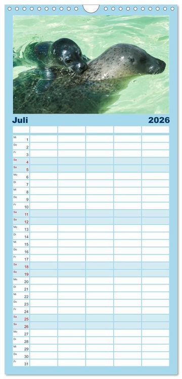Produktbild: Familienplaner 2026 - Faszination Kegelrobben und Seehunde mit 5 Spalten (Wandkalender, 21 x 45 cm) CALVENDO
