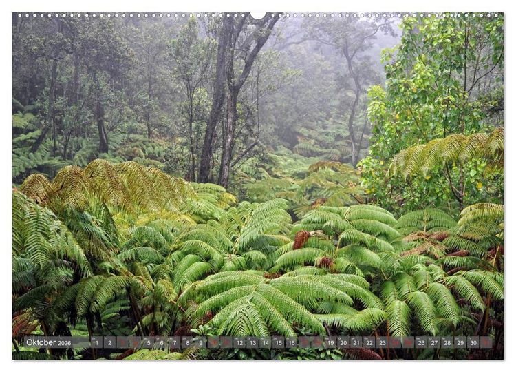 Produktbild: The Big Island of Hawaii (hochwertiger Premium Wandkalender 2026 DIN A2 quer), Kunstdruck in Hochglanz
