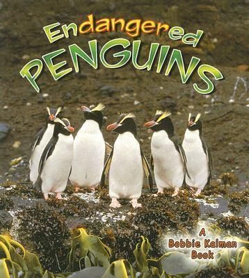 Produktbild: Endangered Penguins