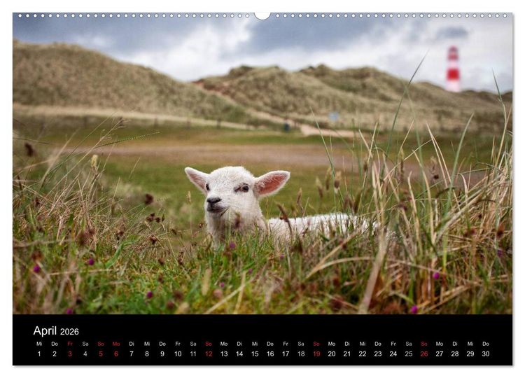 Produktbild: SYLT hinter den D&uuml;nen (hochwertiger Premium Wandkalender 2026 DIN A2 quer), Kunstdruck in Hochglanz