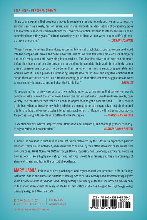 Produktbild: What Motivates Getting Things Done