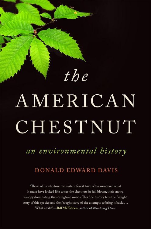 Produktbild: The American Chestnut