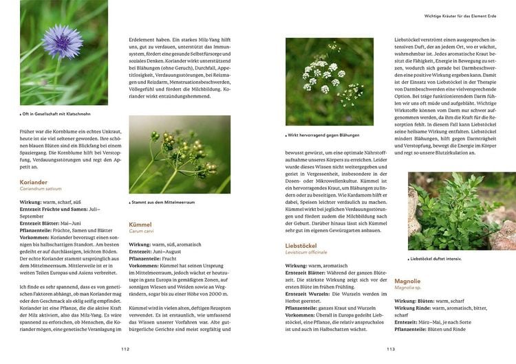Produktbild: Die 5 Elemente der TCM und die Heilkraft unserer heimischen Kr&auml;uter