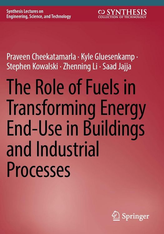 Produktbild: The Role of Fuels in Transforming Energy End-Use in Buildings and Industrial Processes