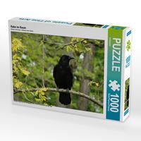Produktbild: CALVENDO Puzzle Rabe im Baum 1000 Teile Lege-Gr&ouml;&szlig;e 64 x 48 cm Foto-Puzzle Bild von Kattobello