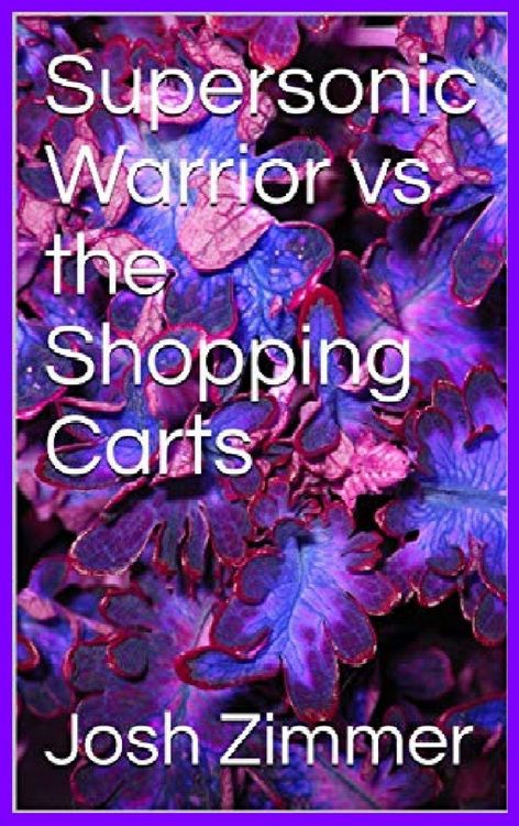 Produktbild: Supersonic Warrior vs the Shopping Carts