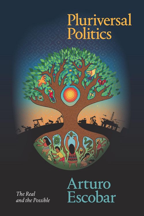 Produktbild: Pluriversal Politics