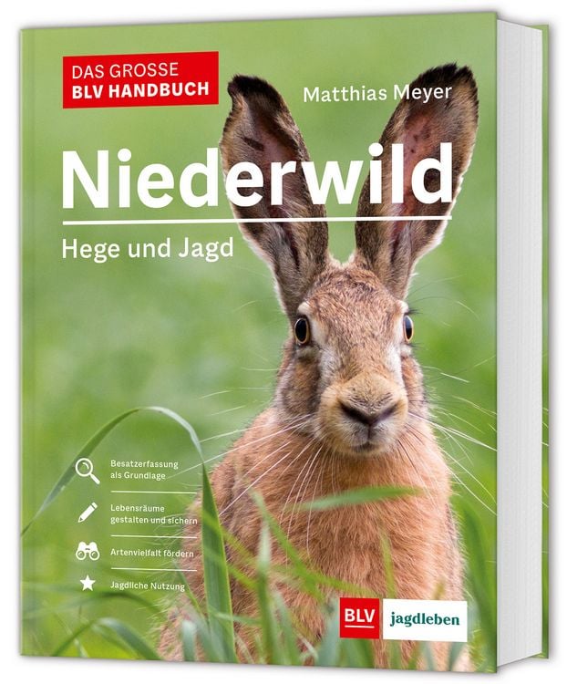 Produktbild: Das gro&szlig;e BLV Handbuch Niederwild