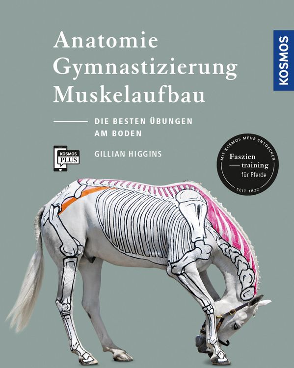 Produktbild: Anatomie, Gymnastizierung, Muskelaufbau