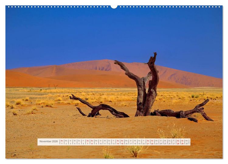 Produktbild: Namibia &ndash; Farben des Lebens (Wandkalender 2026 DIN A2 quer), CALVENDO Monatskalender