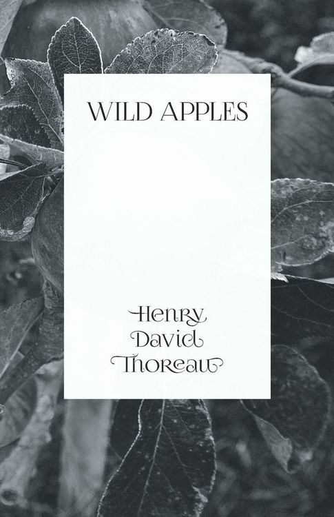 Produktbild: Wild Apples